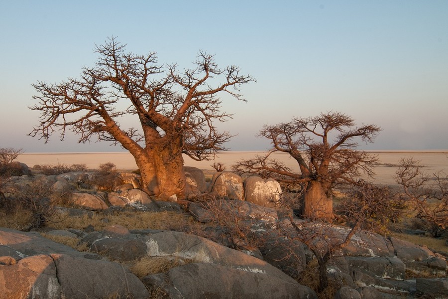 Odehrají se líbánky v některém z afrických států?